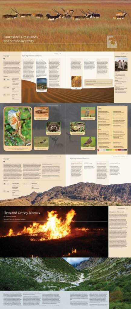 ONE Guide Pages